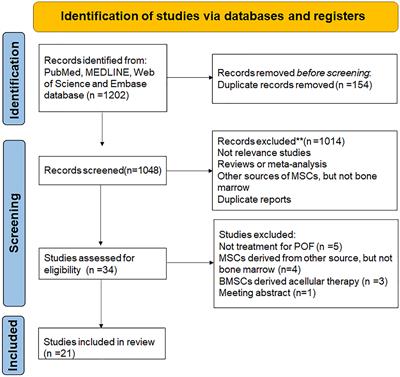 Bone marrow mesenchymal stem cells in premature ovarian failure: Mechanisms and prospects